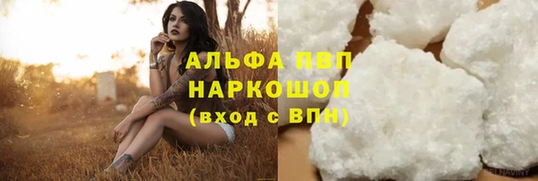прущие грибы Наволоки