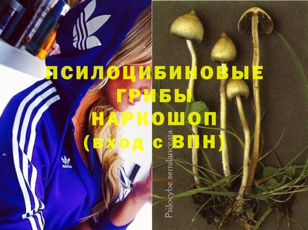 эйфоретик Алексин