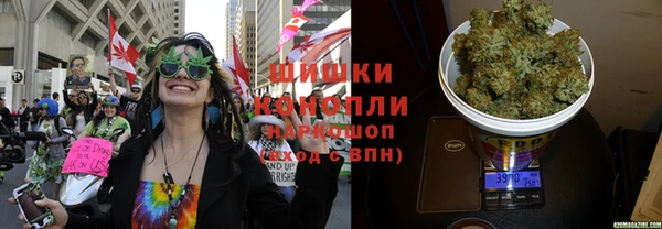 стаф Волгодонск