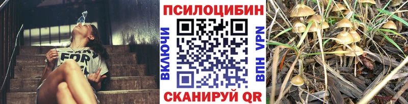 Псилоцибиновые грибы Psilocybine cubensis  дарнет шоп  Салават 