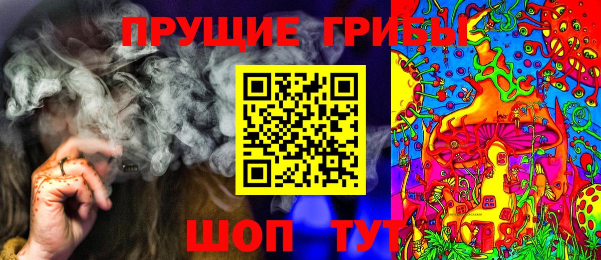 Салават  Галлюциногенные грибы Cubensis  Вход с VPN 